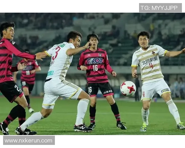 金泽塞维与大板樱花激战在即谁能在这场对决中脱颖而出